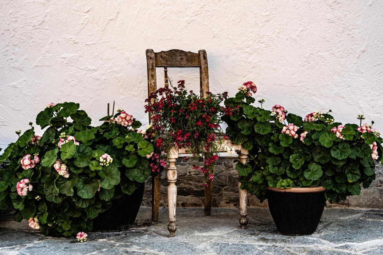 شقة Biobauernhof Gast ماريابفار المظهر الخارجي الصورة